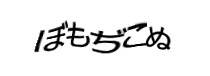 Authentication image